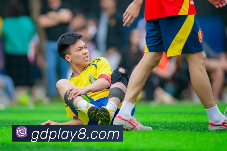 App Interface Preview